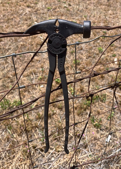 Plammer - Saddle Size, 9"