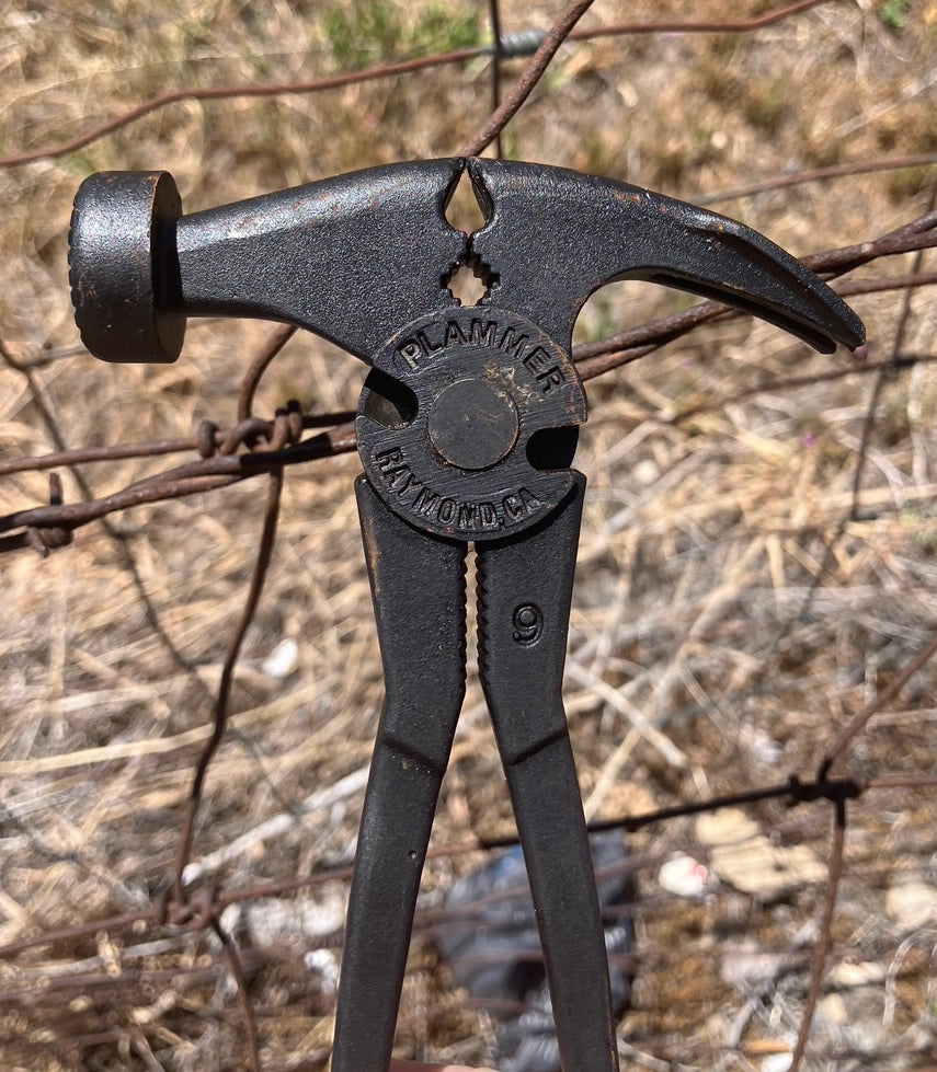Plammer - Saddle Size, 9"