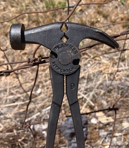Plammer - Saddle Size, 9"