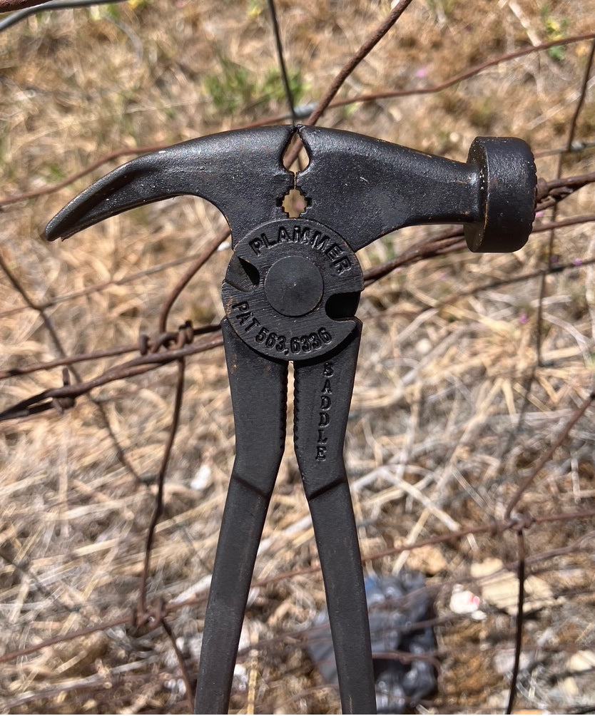 Plammer - Saddle Size, 9"